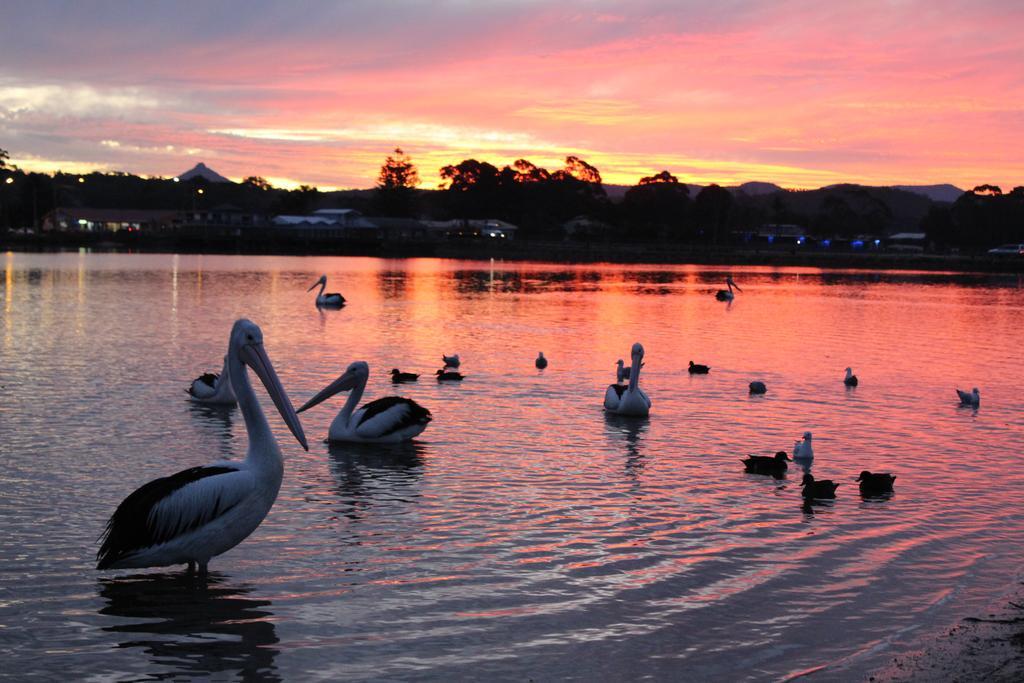 Holiday Haven Burrill Lake Bagian luar foto